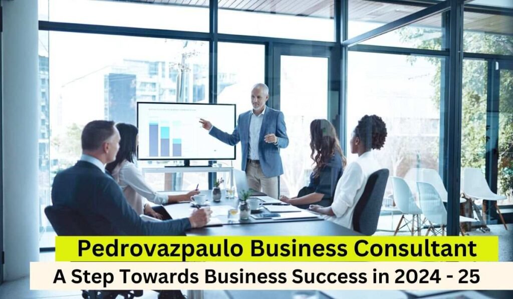 Pedrovazpaulo Business Consultant